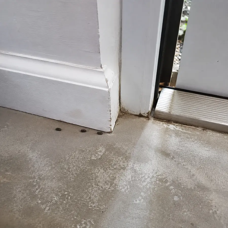 Rodent droppings or noise